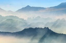 竹叶茶泡水喝的功效  竹叶茶能喝吗