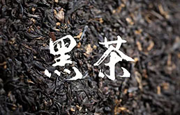 闽南水仙茶品种源自哪里  漳州闽南水仙