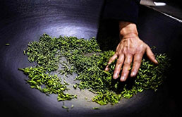 啥子是沩江白毛尖  沩山白毛尖茶产于哪个省